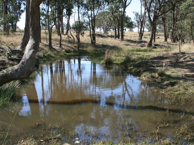 1 Old Stanthorpe Road, Dalveen QLD 4374