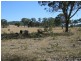1 Old Stanthorpe Road, Dalveen QLD 4374