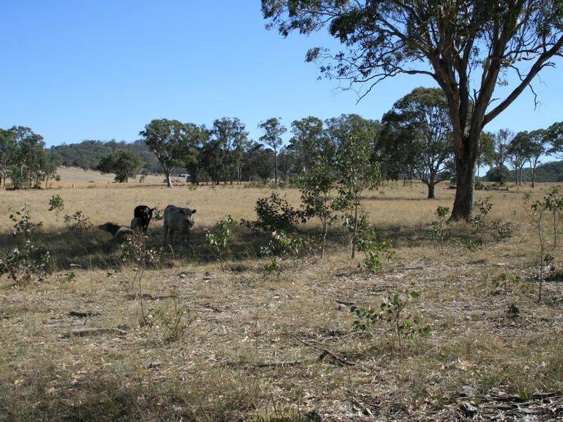 1 Old Stanthorpe Road, Dalveen QLD 4374