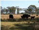 1 Old Stanthorpe Road, Dalveen QLD 4374