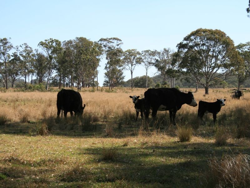 1 Old Stanthorpe Road, Dalveen QLD 4374