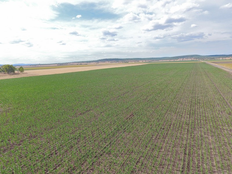 Lot 2 Wheatvale Plains Road, Wheatvale QLD 4370