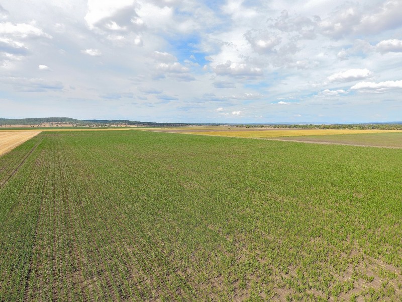 Lot 2 Wheatvale Plains Road, Wheatvale QLD 4370