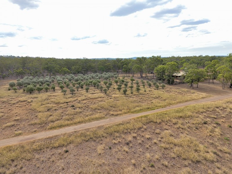 15290 Cunningham Highway, Wheatvale QLD 4370