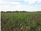 Lot 11 Junabee Road, Warwick QLD 4370