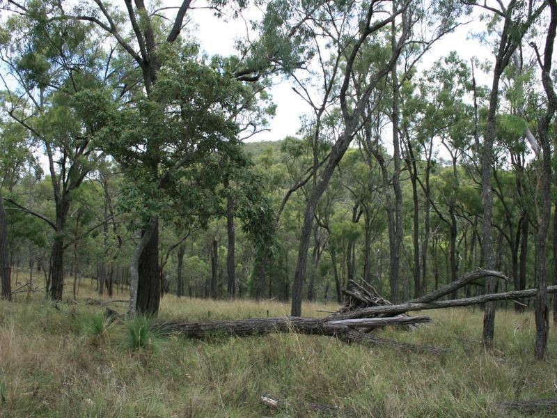 250 HAZELDENE RD PRATTEN, Warwick QLD 4370