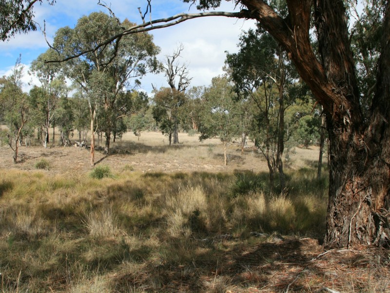 Lot 233 Loloma Road, Warwick QLD 4370