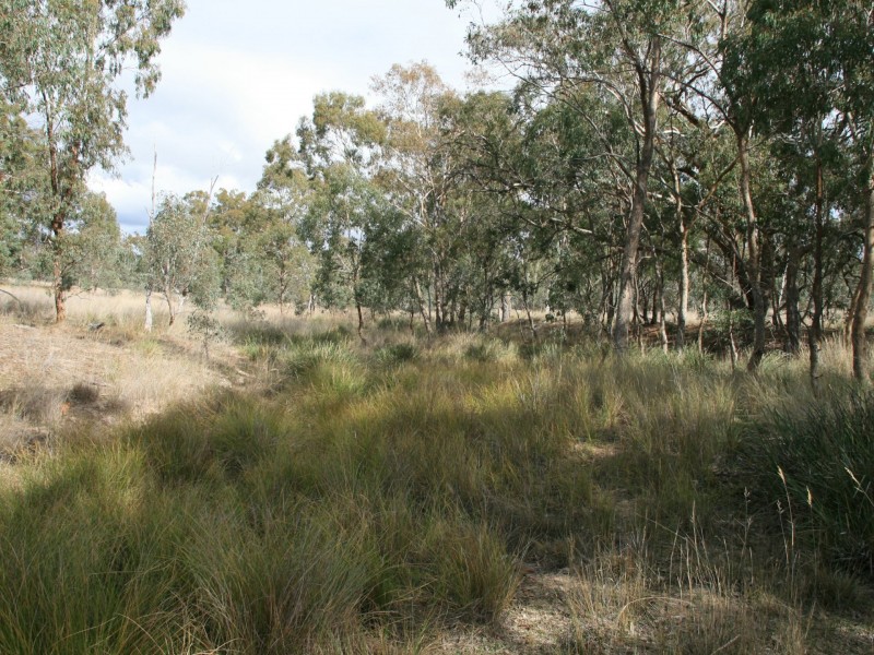 Lot 233 Loloma Road, Warwick QLD 4370
