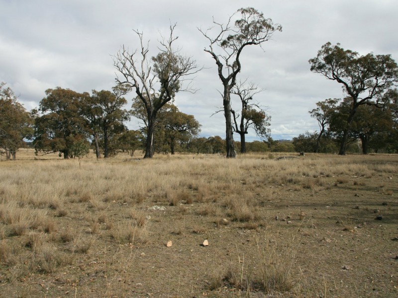 Lot 233 Loloma Road, Warwick QLD 4370
