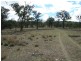 Lot 233 Loloma Road, Warwick QLD 4370