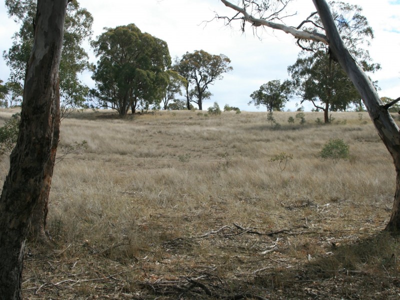 Lot 233 Loloma Road, Warwick QLD 4370
