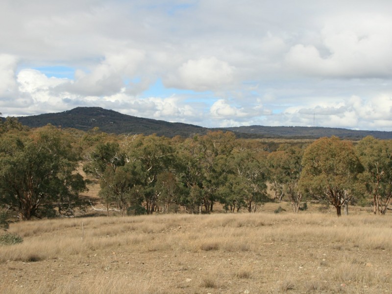 Lot 233 Loloma Road, Warwick QLD 4370