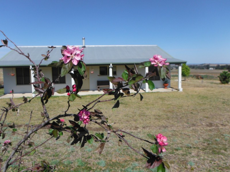 539 O’Mara Road, Mount Colliery QLD 4370