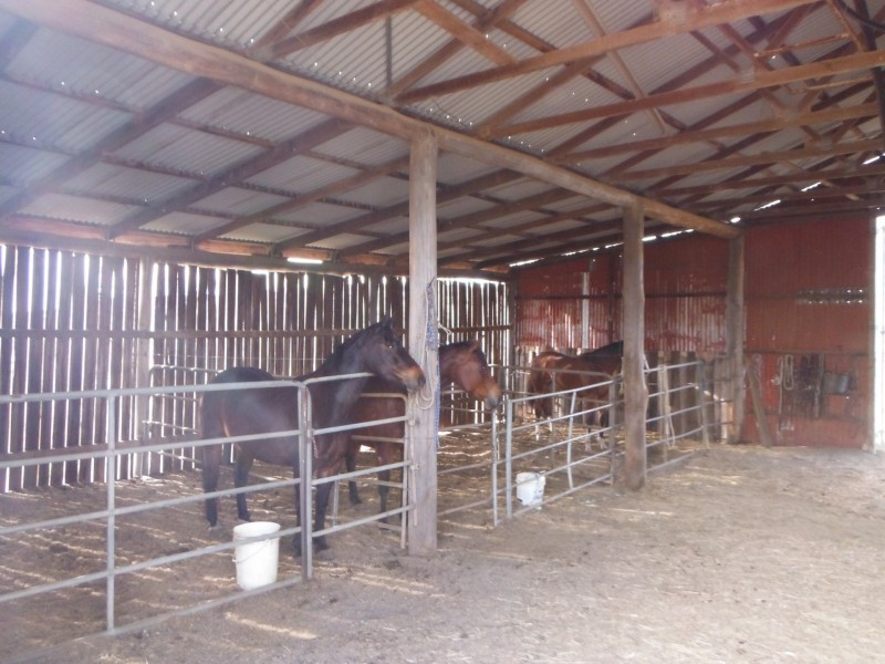 539 O’Mara Road, Mount Colliery QLD 4370