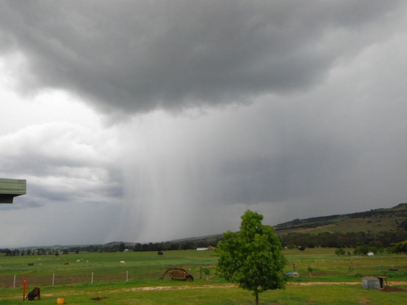 539 O’Mara Road, Mount Colliery QLD 4370