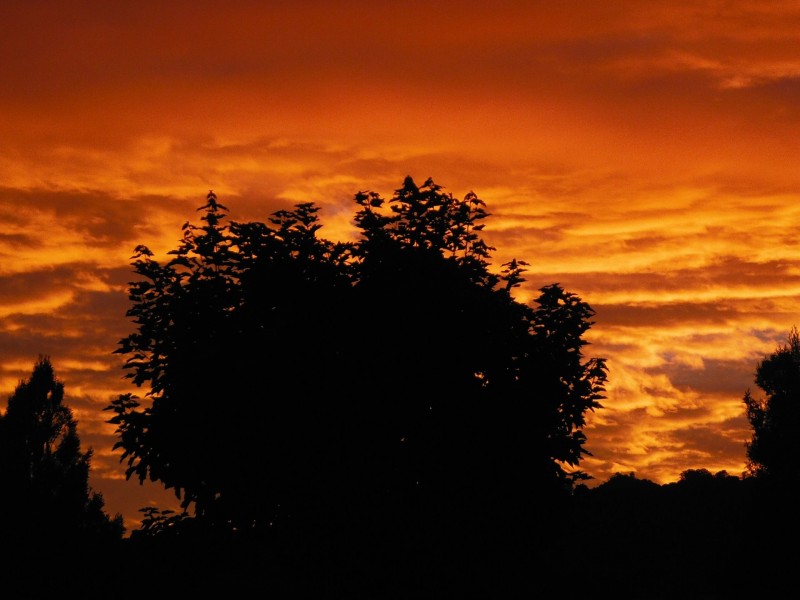 539 O’Mara Road, Mount Colliery QLD 4370