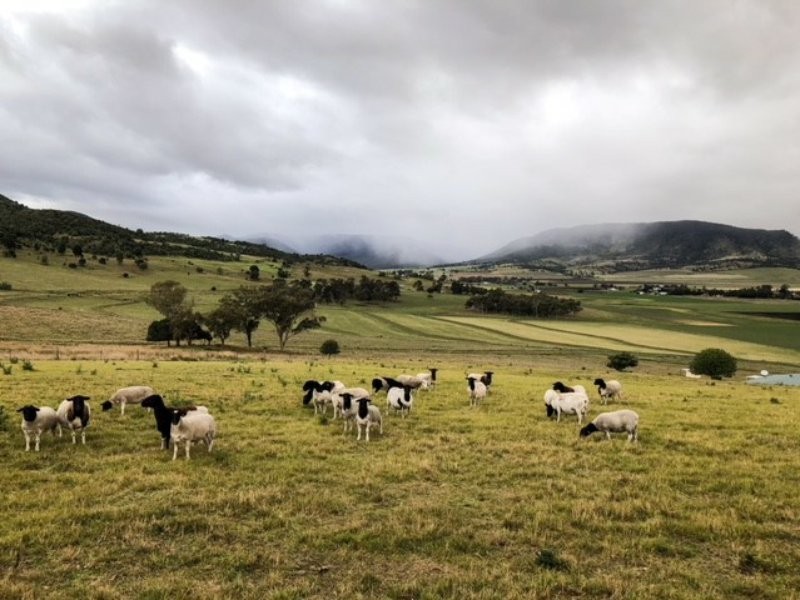 42 Careys Road, Emu Vale QLD 4371