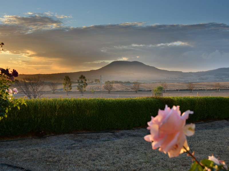 42 Careys Road, Emu Vale QLD 4371