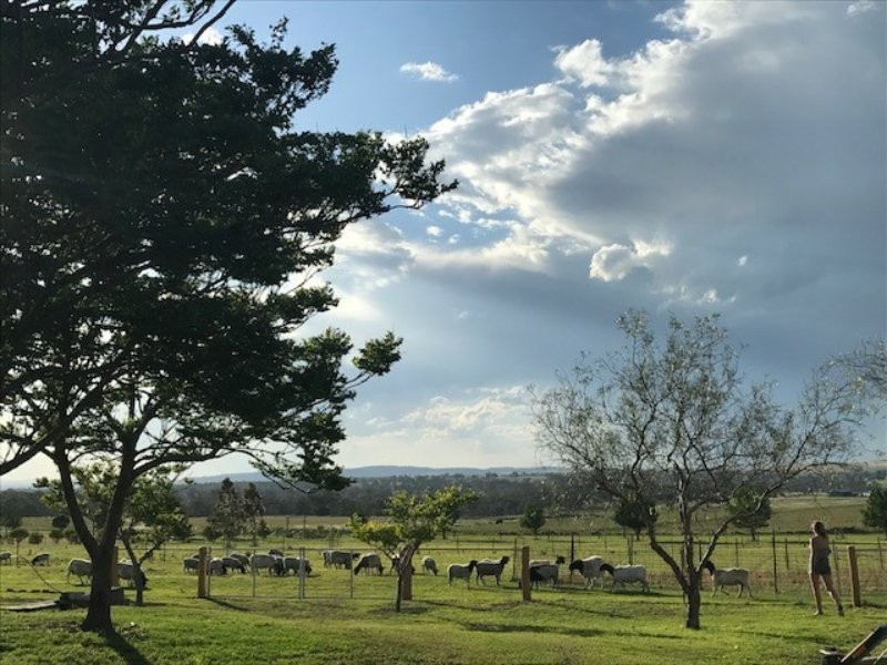 42 Careys Road, Emu Vale QLD 4371