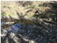 Lot 21 Cunningham Highway, Maryvale QLD 4370