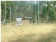 Lot 1 Stonehenge Rd Leyburn, Warwick QLD 4370