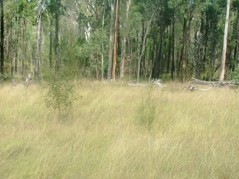 Lot 1 Stonehenge Rd Leyburn, Warwick QLD 4370