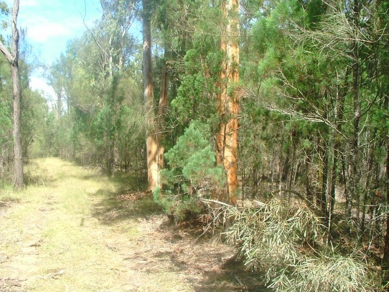 Lot 1 Stonehenge Rd Leyburn, Warwick QLD 4370