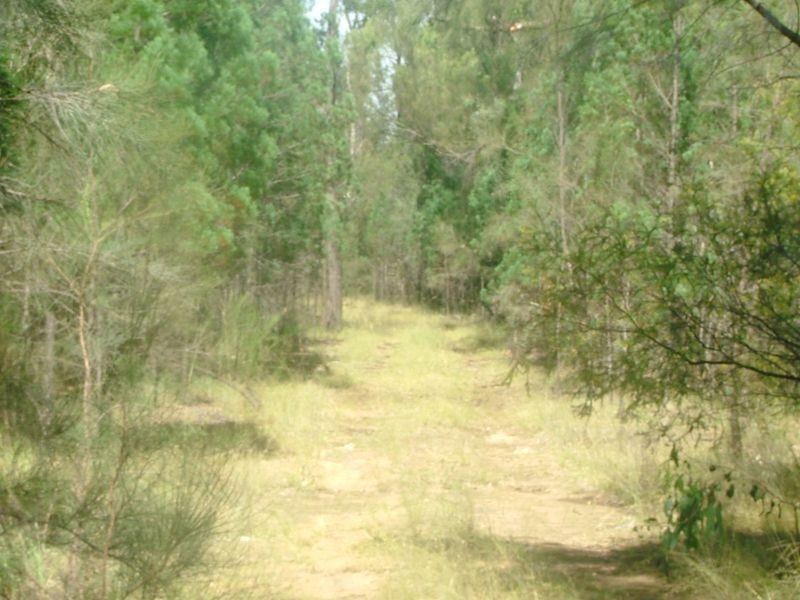 Lot 1 Stonehenge Rd Leyburn, Warwick QLD 4370