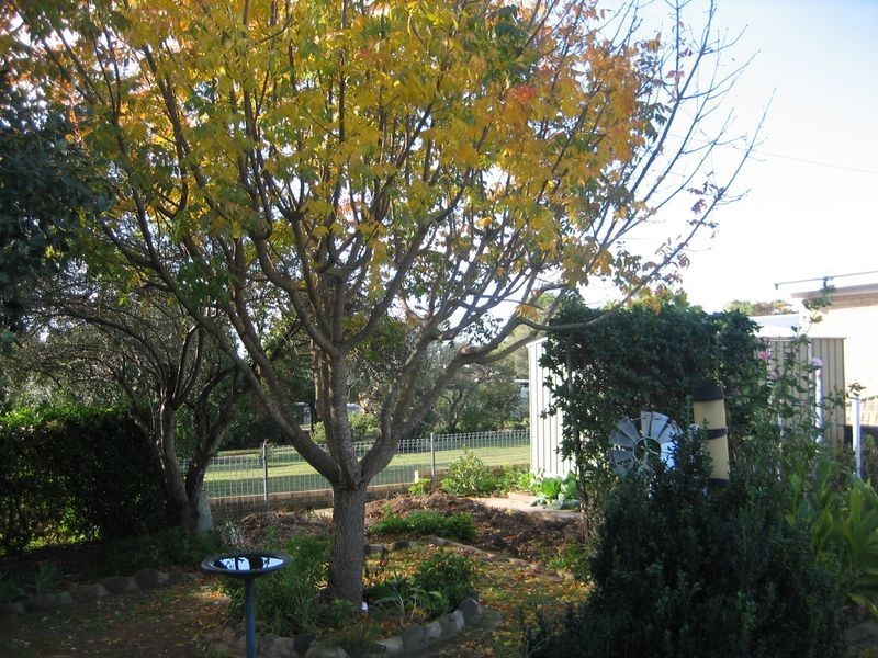 18 Douglas Street, Warwick QLD 4370