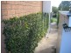 18 Douglas Street, Warwick QLD 4370