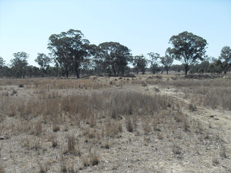 Warwick QLD 4370
