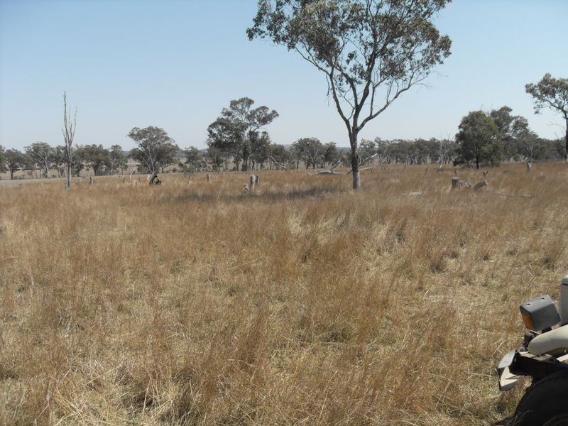 Warwick QLD 4370