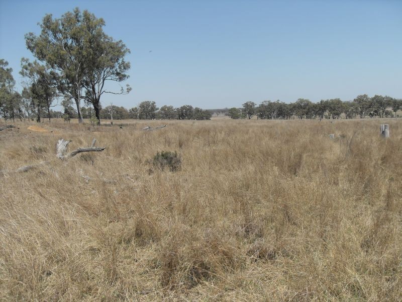 Warwick QLD 4370