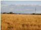 Lot 2 & Lo Freestone Road, Warwick QLD 4370