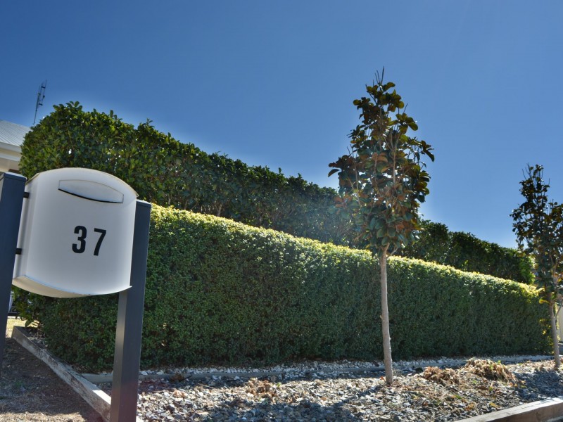 37 Bisley Street, Warwick QLD 4370