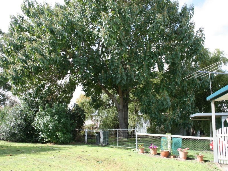 Warwick QLD 4370