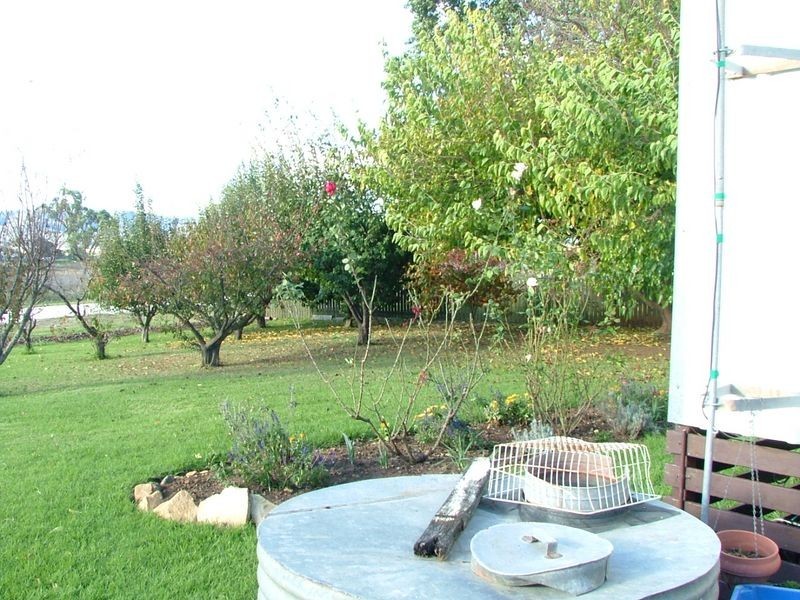 8 Old Emuvale Rd Yangan, Warwick QLD 4370