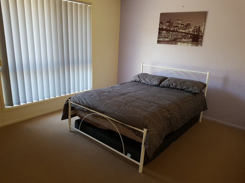 211 Homestead Road, Rosenthal Heights QLD 4370