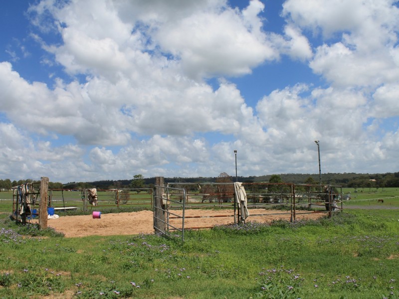 211 Homestead Road, Rosenthal Heights QLD 4370