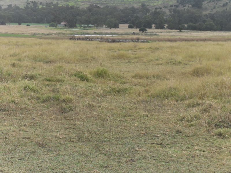 Warwick QLD 4370