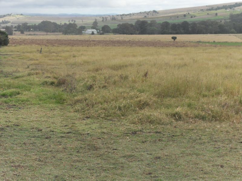 Warwick QLD 4370