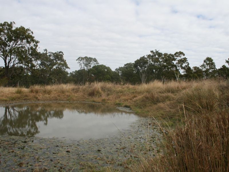 Warwick QLD 4370