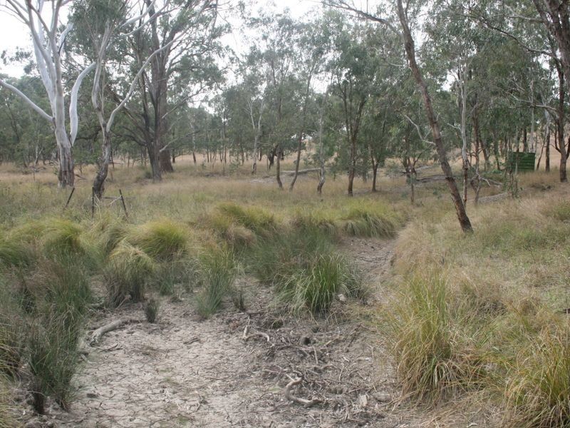 Warwick QLD 4370