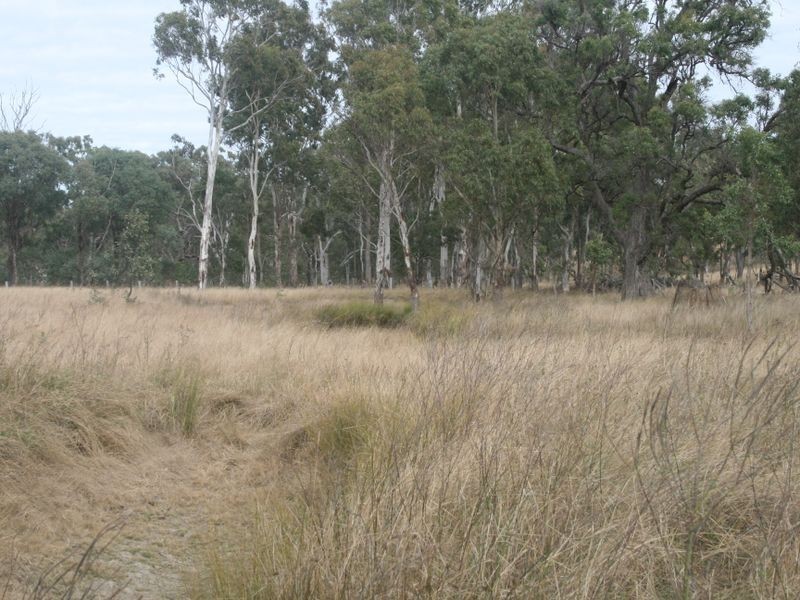 Warwick QLD 4370