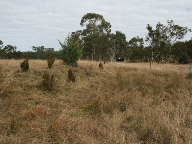Warwick QLD 4370