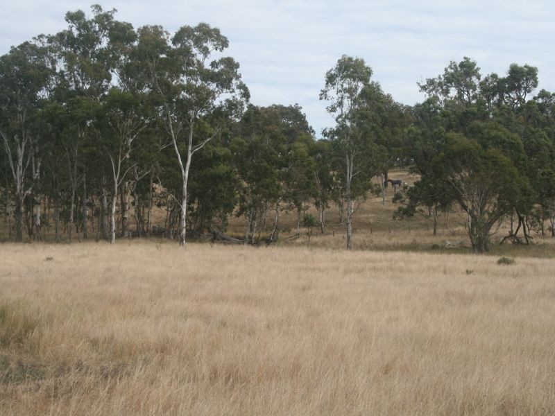 Warwick QLD 4370