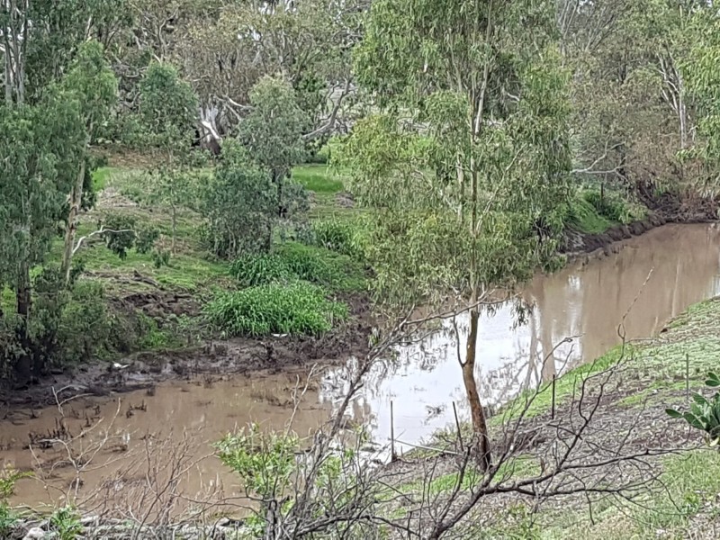 4205 Leyburn Cunningham Road, Wheatvale QLD 4370