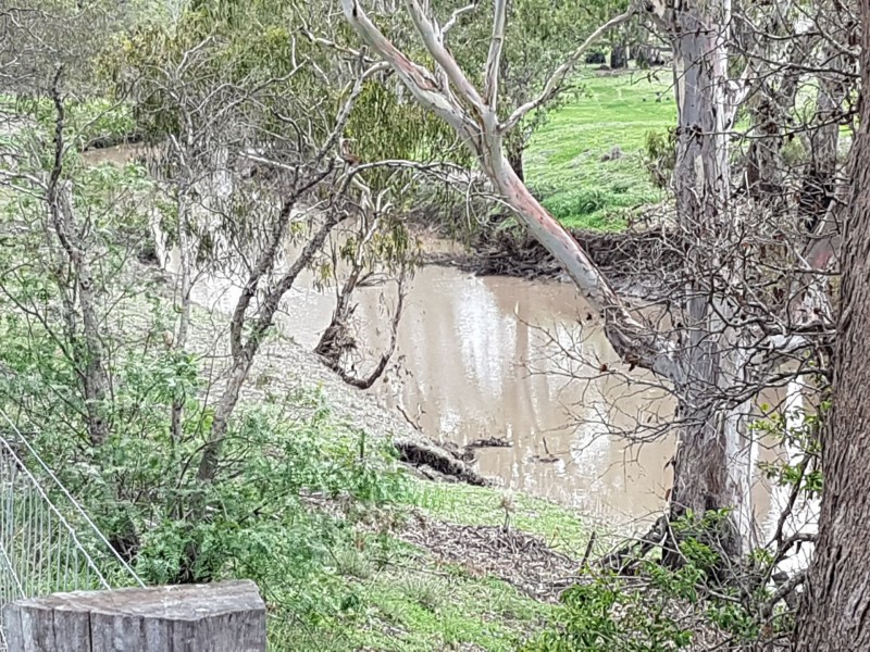 4205 Leyburn Cunningham Road, Wheatvale QLD 4370