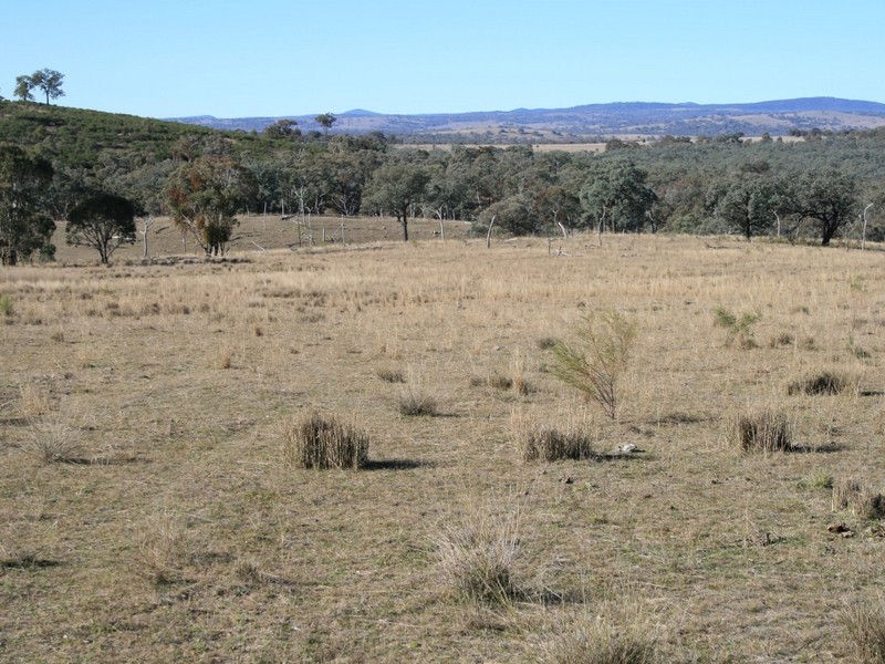 Stanthorpe QLD 4380