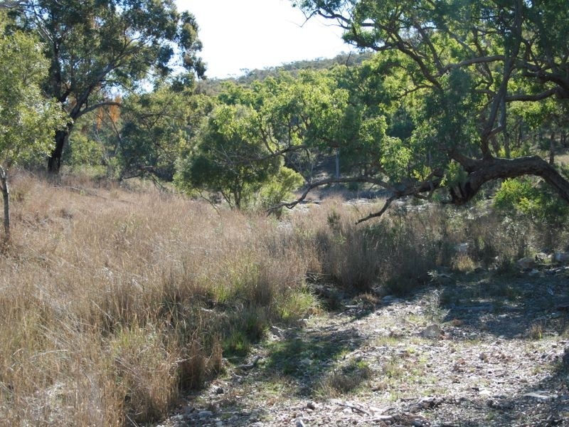 Stanthorpe QLD 4380